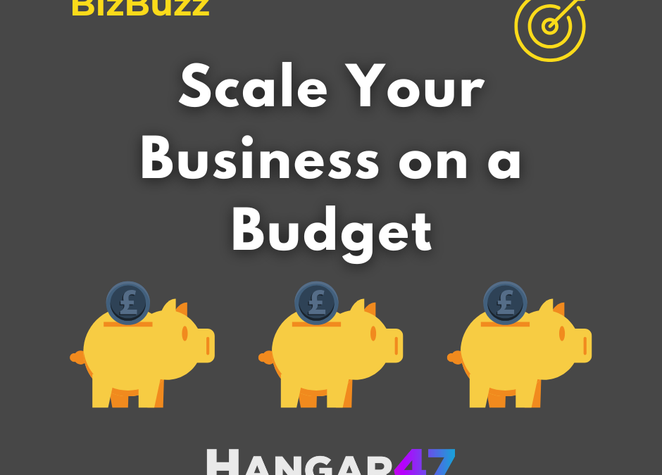 🚀💡 Scale Your Business on a Budget